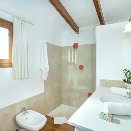 Owl Gorreta - 5 Min Walk To The Old Town Villa